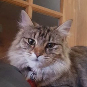 Meet your Posher, Chase &